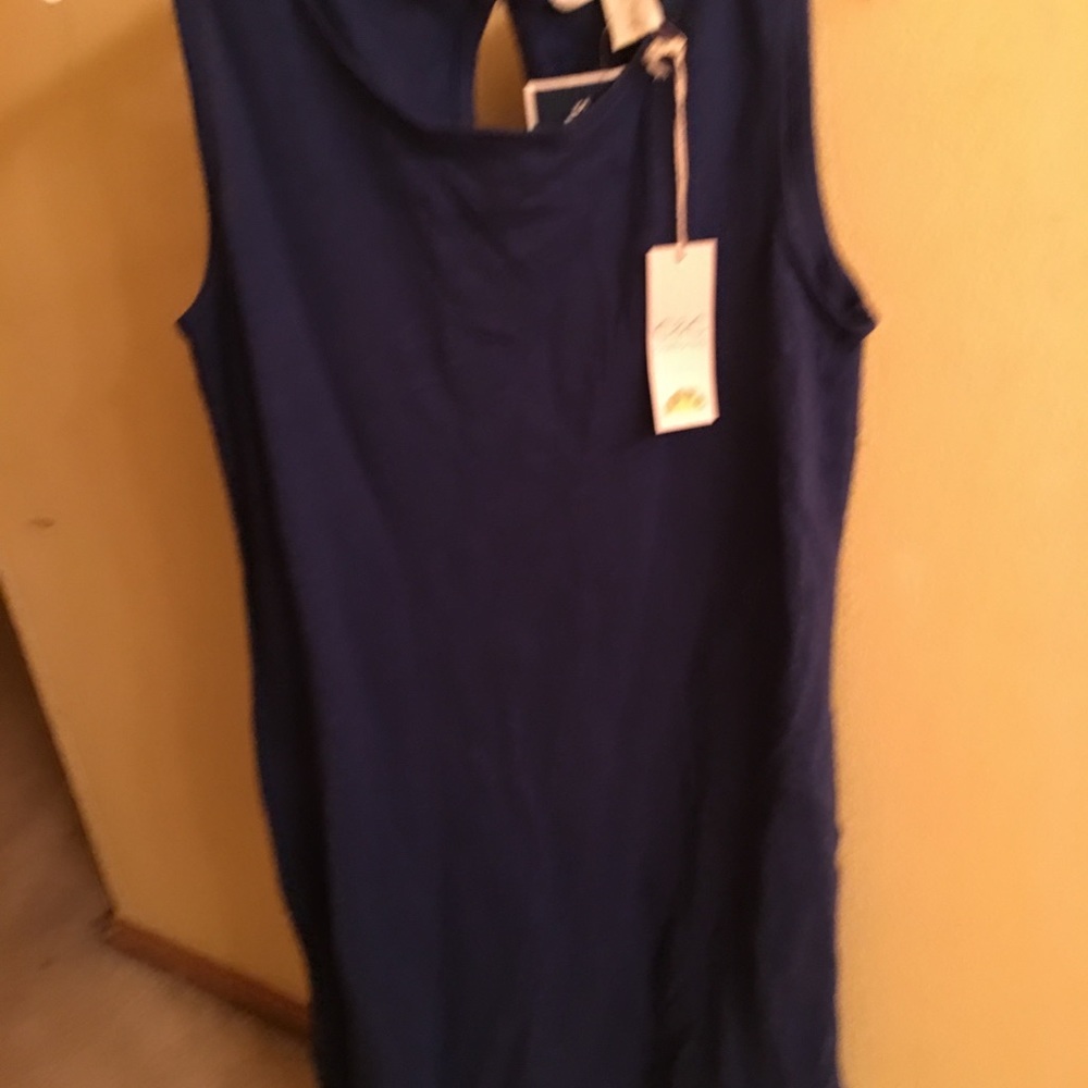 C&C California dress